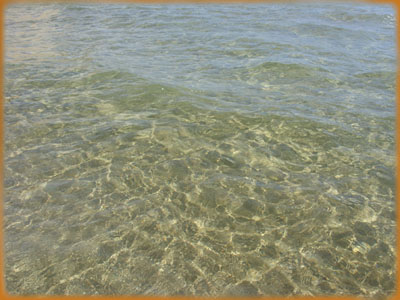 Avola mare