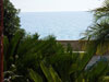 vista area dal giardino