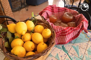 bed and breakfast avola, colazione con marmellate arance limoni biologici